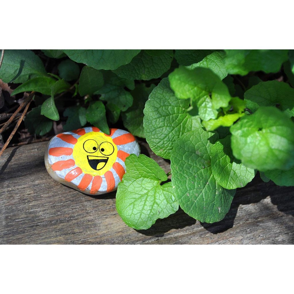 CREATIVITY FOR KIDS HIDE & SEEK ROCK PAINTING