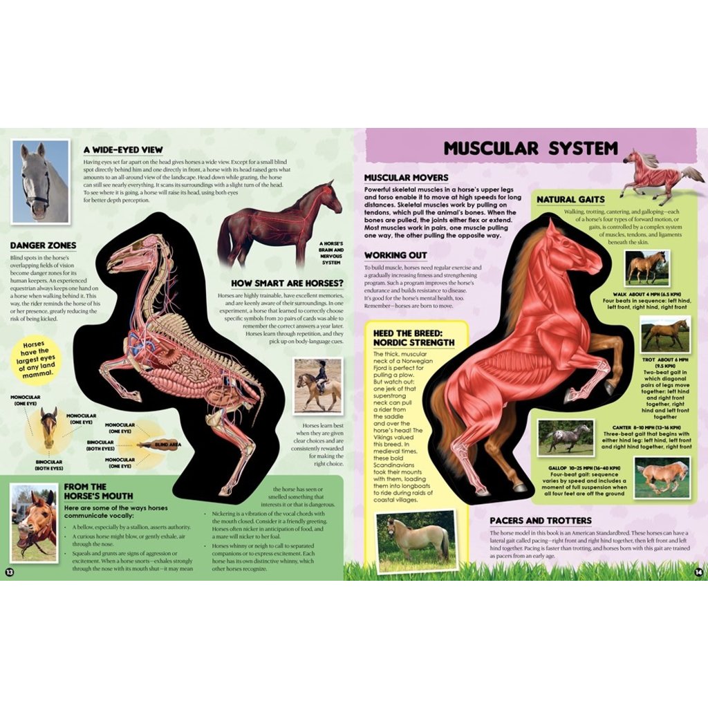 INSIDE OUT HORSE HB GORDON THE TOY STORE