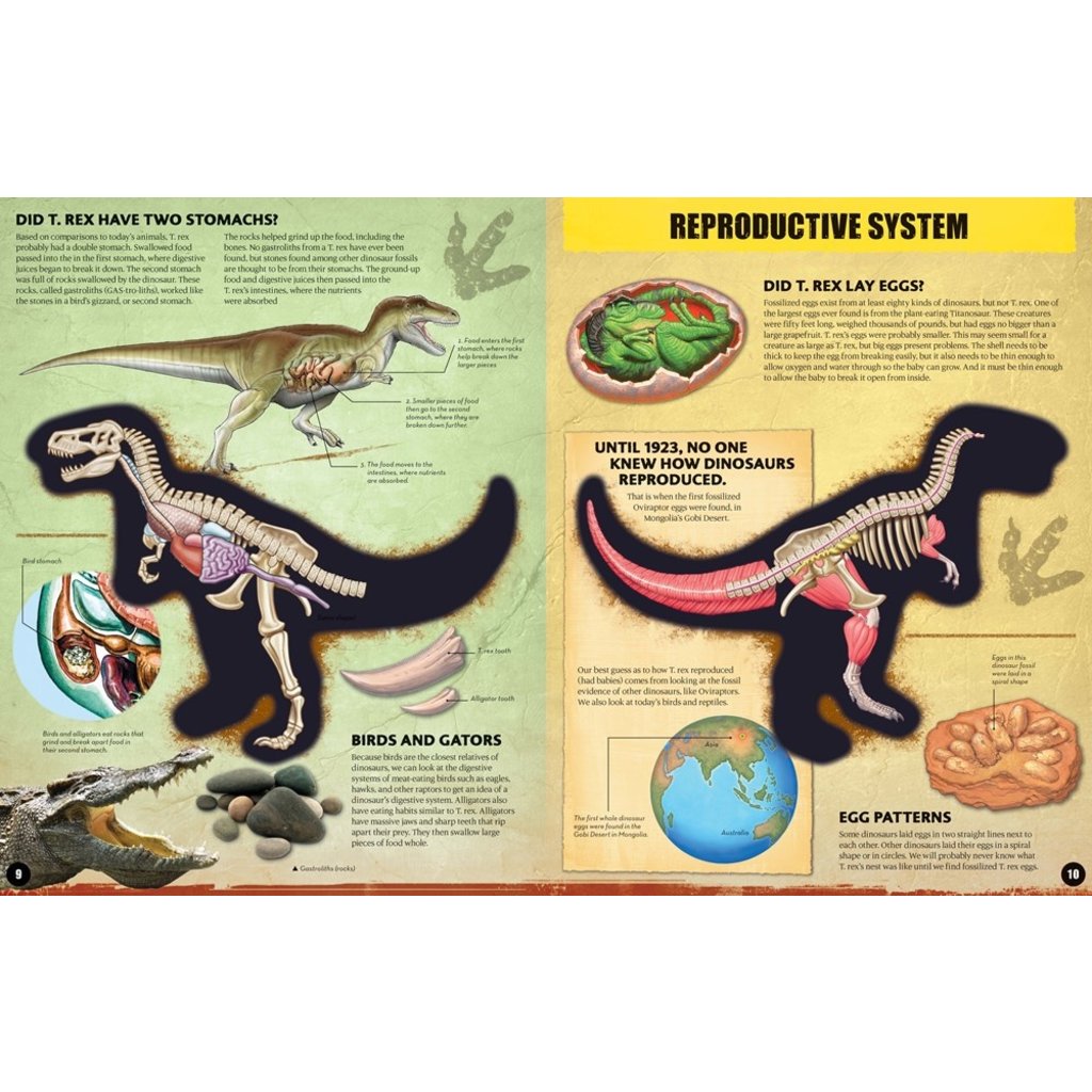 CHARTWELL BOOKS INSIDE OUT T. REX: EXPLORE THE WORLD'S MOST FAMOUS DINOSAUR