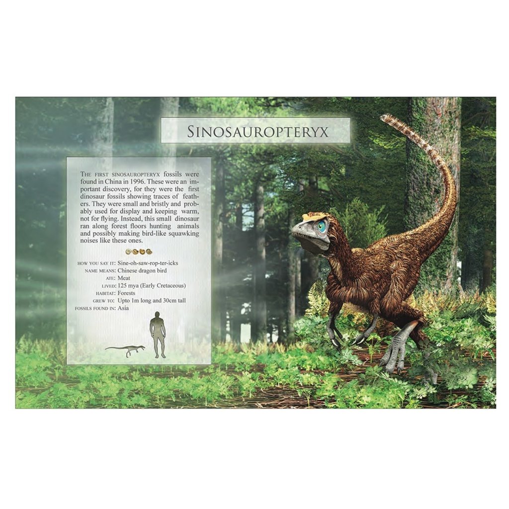 FIREFLY BOOKS LITTLE BOOK OF DINOSAUR SOUNDS