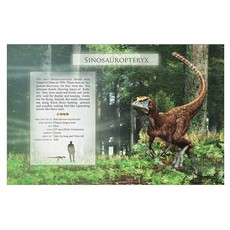 FIREFLY BOOKS LITTLE BOOK OF DINOSAUR SOUNDS