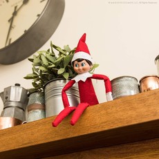 CCA & B ELF ON THE SHELF