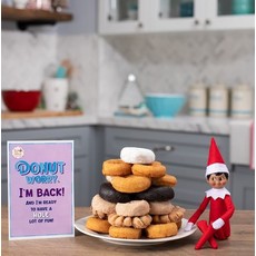 ELF OF THE SHELF ELF ON THE SHELF
