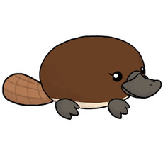 SQUISHABLE BABY PLATYPUS SQUISHABLE MINI