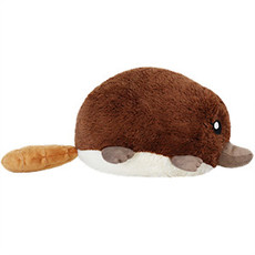 SQUISHABLE BABY PLATYPUS SQUISHABLE MINI