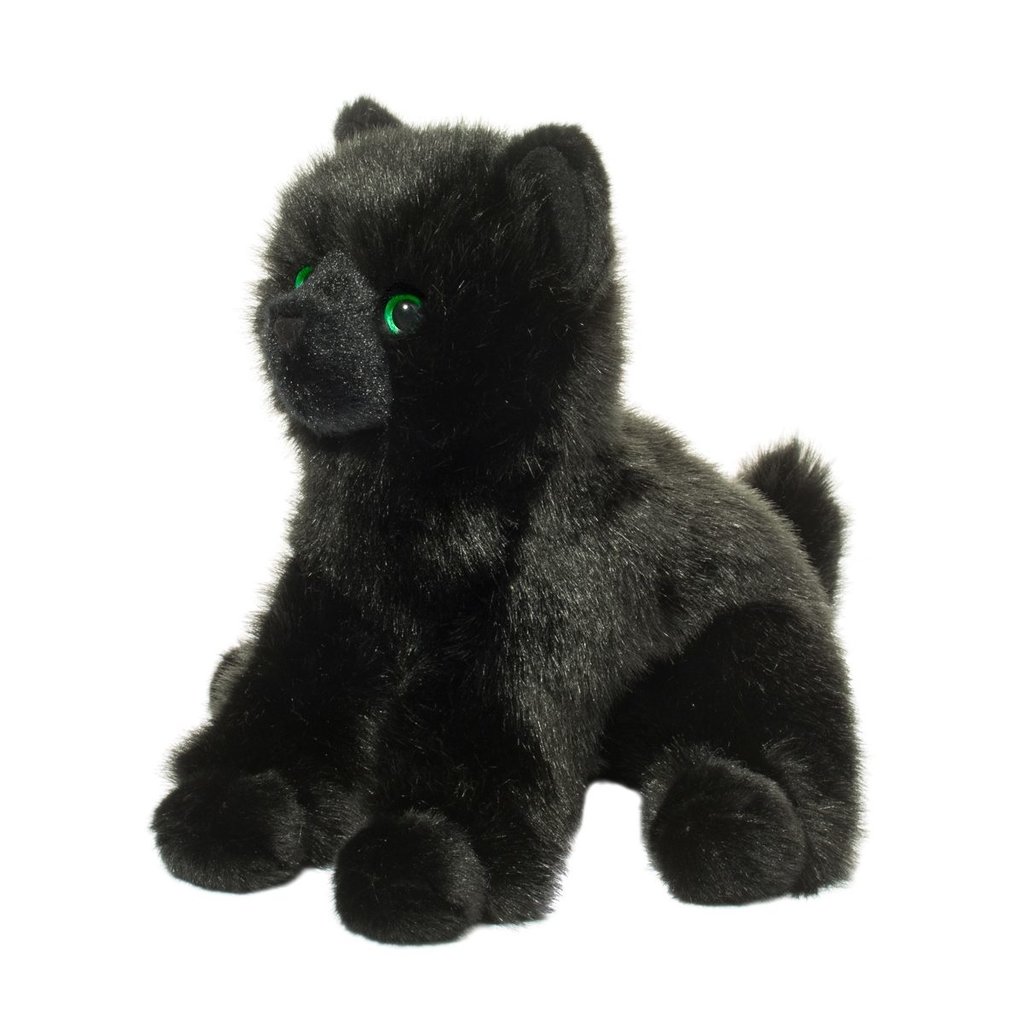 DOUGLAS COMPANY INC SALEM BLACK CAT