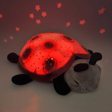 CLOUD B TWILIGHT LADYBUG