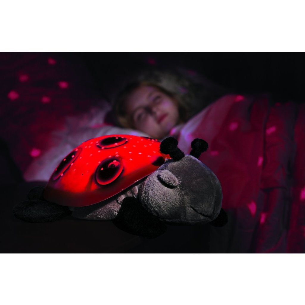 CLOUD B TWILIGHT LADYBUG