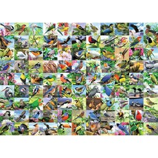 RAVENSBURGER USA 99 DELIGHTFUL BIRDS 300 PIECE PUZZLE
