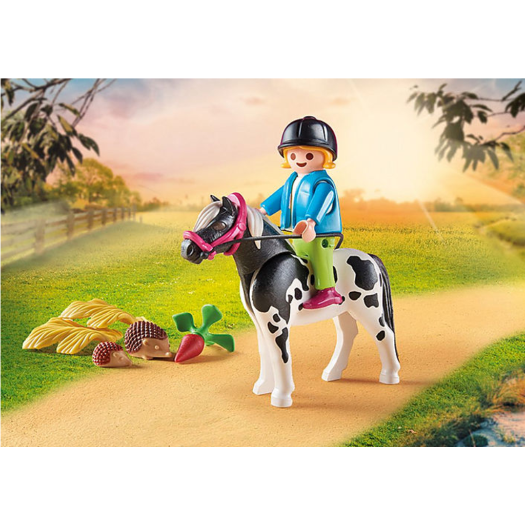 Playmobil Pony Farm Birthday Party