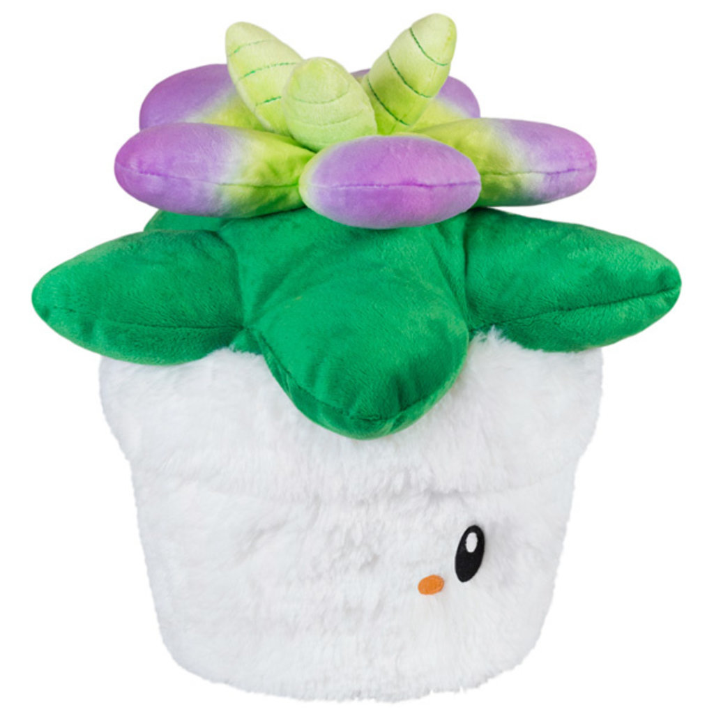 SQUISHABLE SUCCULENT SQUISHABLE