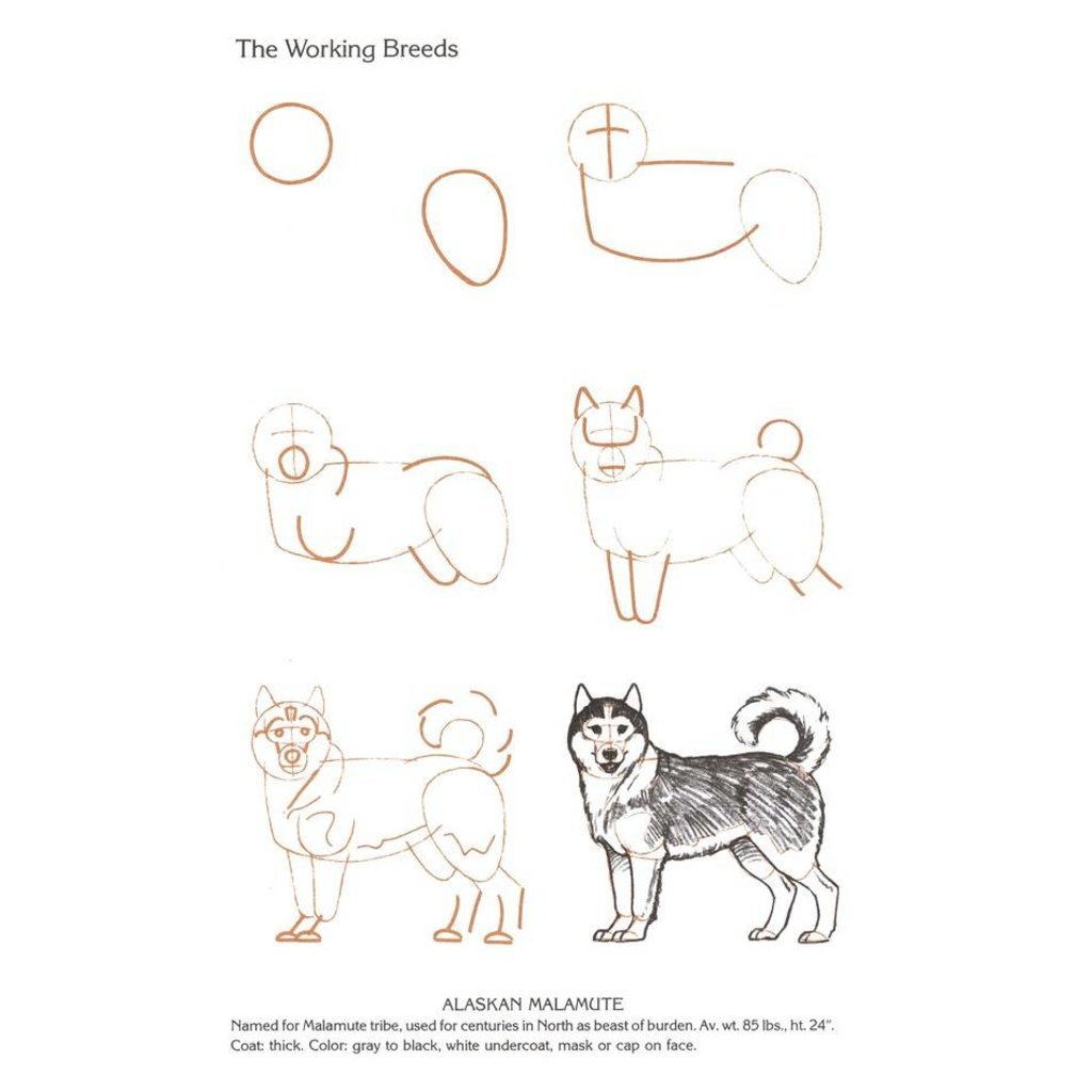 RANDOM HOUSE DRAW 50 DOGS