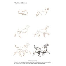 RANDOM HOUSE DRAW 50 DOGS