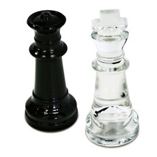 WOOD EXPRESSIONS GLASS CHESS SET