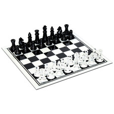 WOOD EXPRESSIONS GLASS CHESS SET