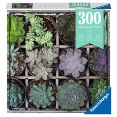 RAVENSBURGER USA 300 PC PUZZLE MOMENT