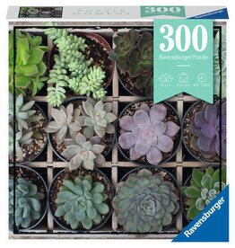 RAVENSBURGER USA 300 PC PUZZLE MOMENT