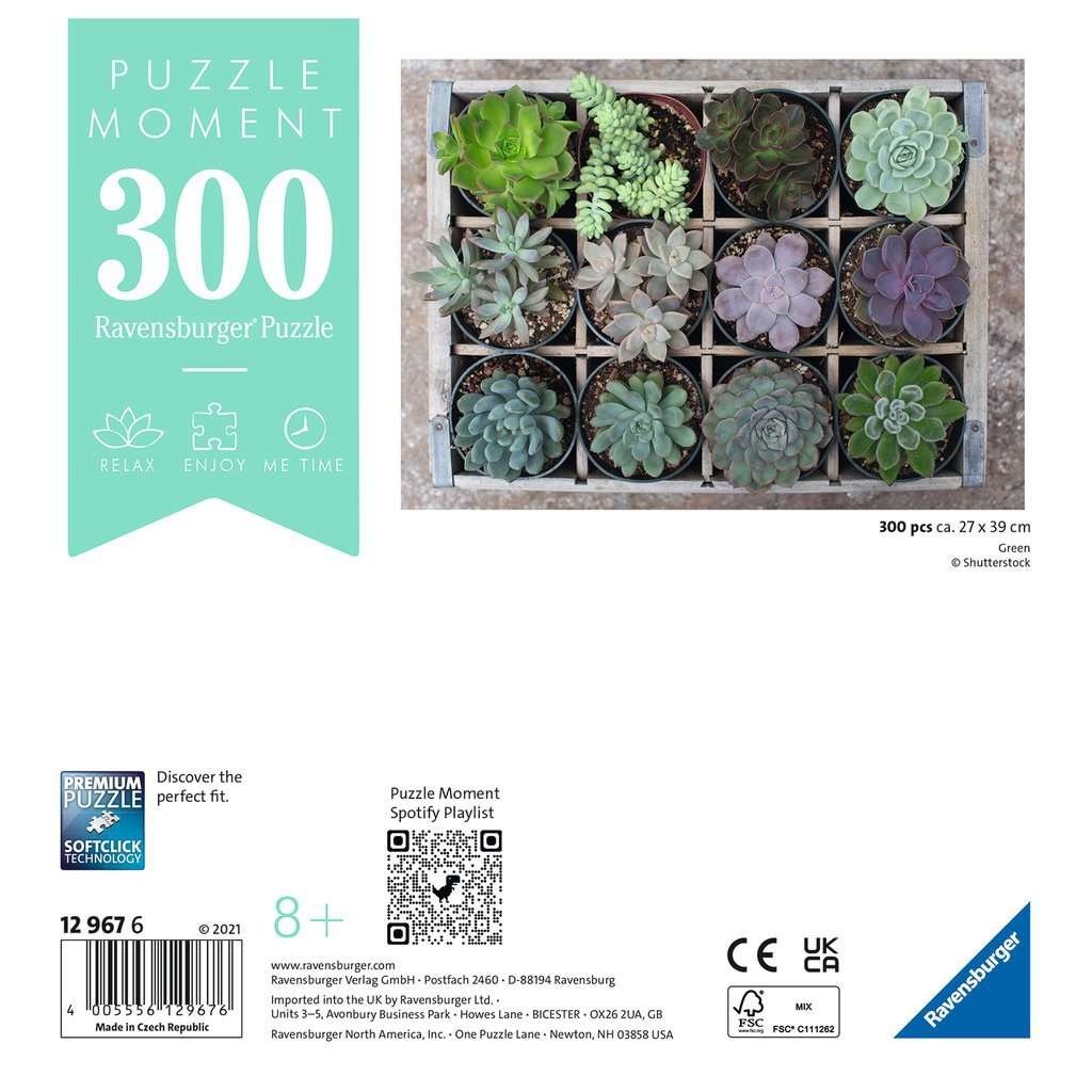 RAVENSBURGER USA 300 PIECE PUZZLE MOMENT