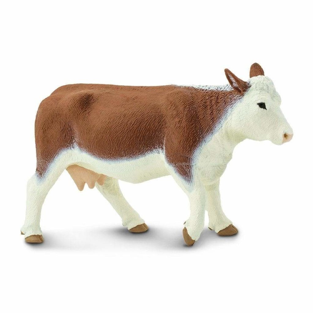 SAFARI SAFARI COW