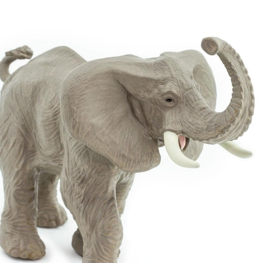 SAFARI SAFARI AFRICAN ELEPHANT
