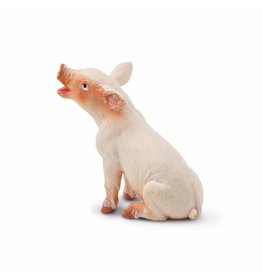 SAFARI SAFARI SITTING PIGLET