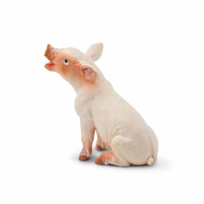 SAFARI SAFARI SITTING PIGLET