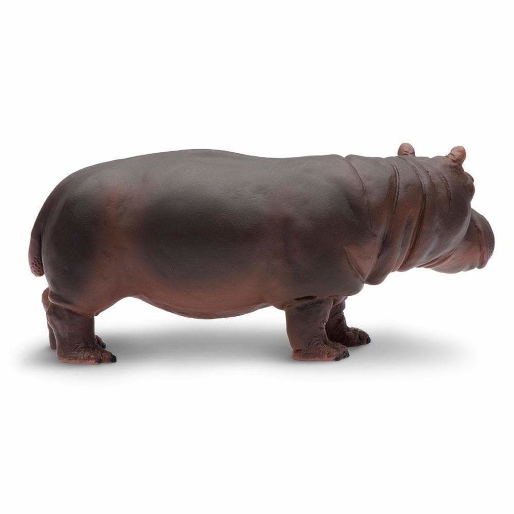 SAFARI SAFARI HIPPO