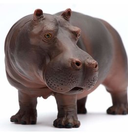 SAFARI SAFARI HIPPO