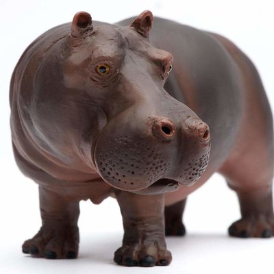SAFARI SAFARI HIPPO