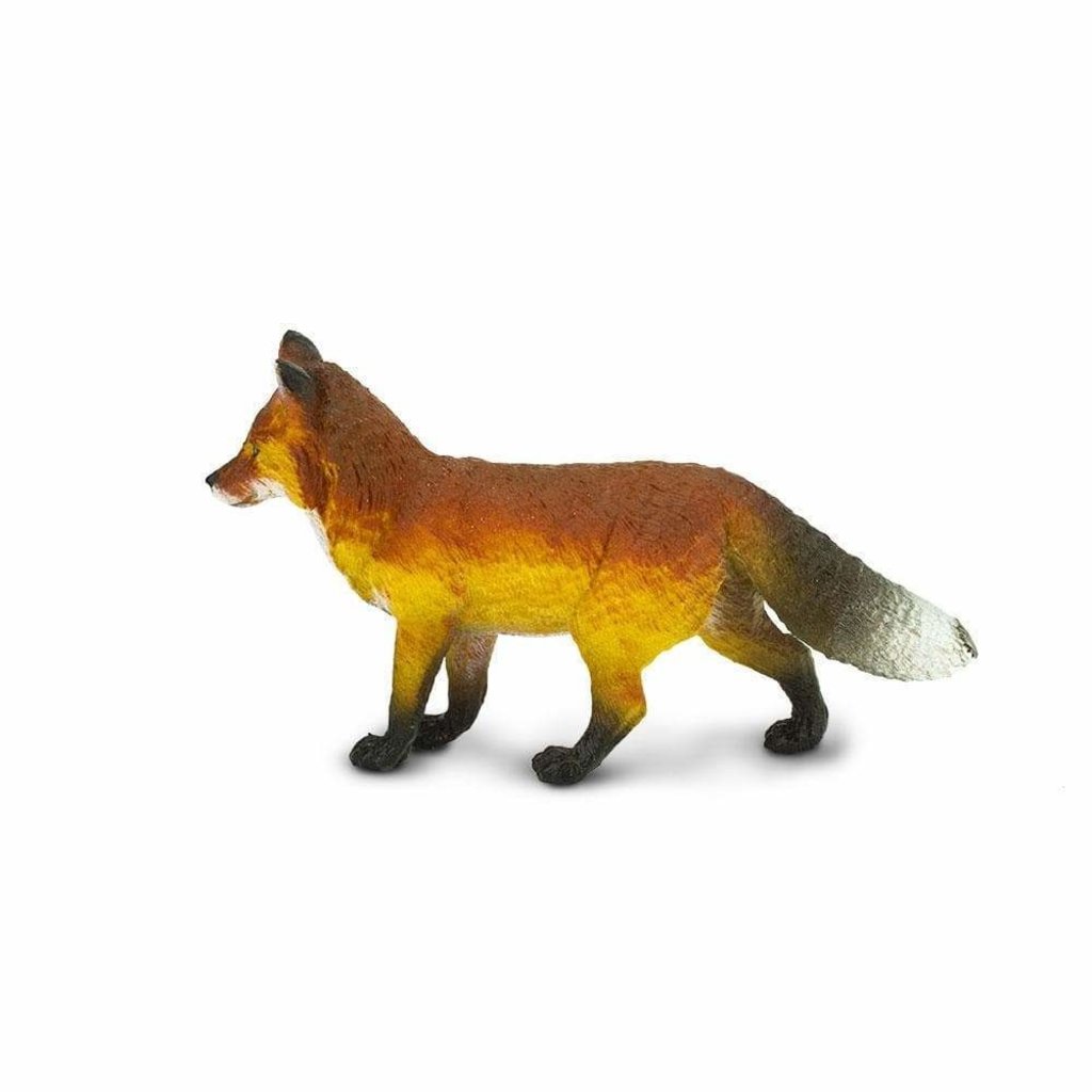 SAFARI SAFARI FOX