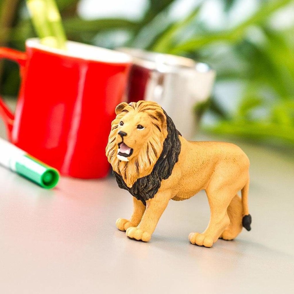 SAFARI SAFARI LION