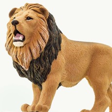 SAFARI SAFARI LION
