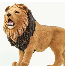 SAFARI SAFARI LION