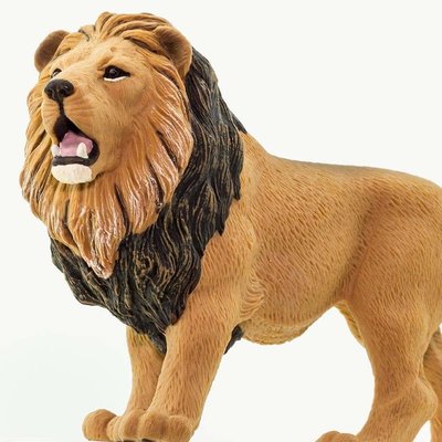 SAFARI SAFARI LION