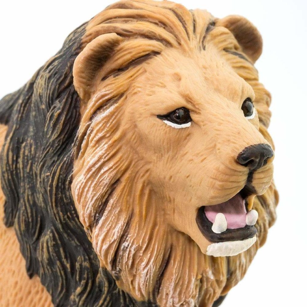 SAFARI SAFARI LION