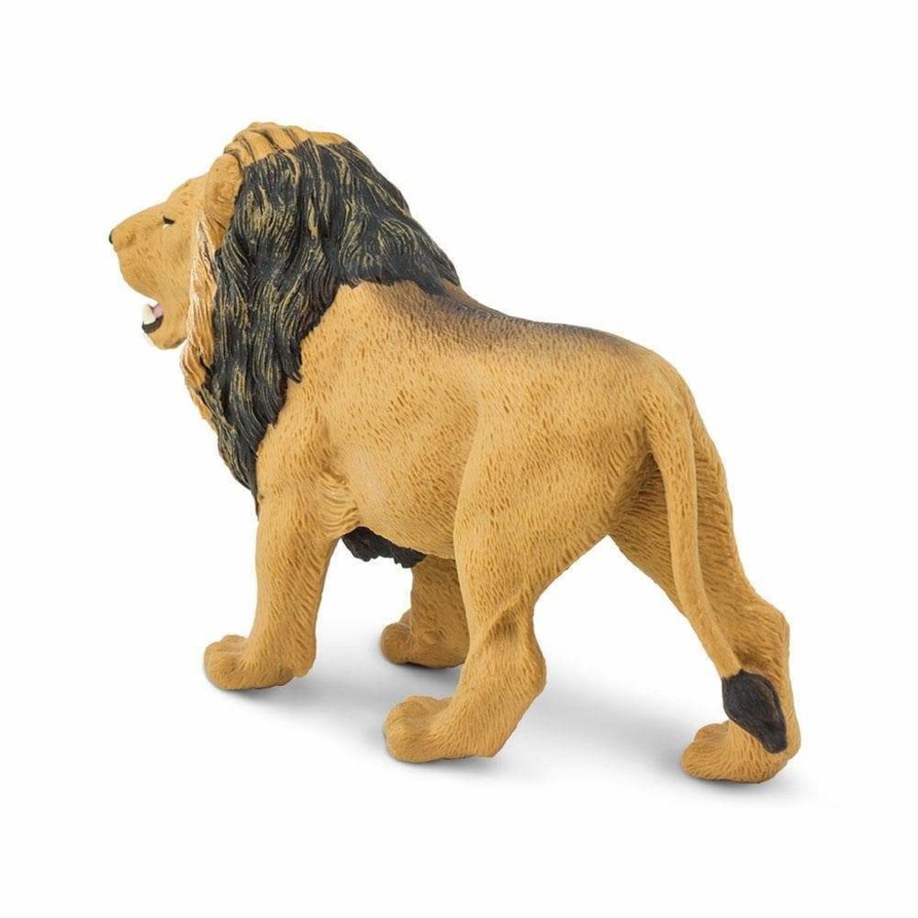 SAFARI SAFARI LION