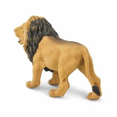 SAFARI SAFARI LION