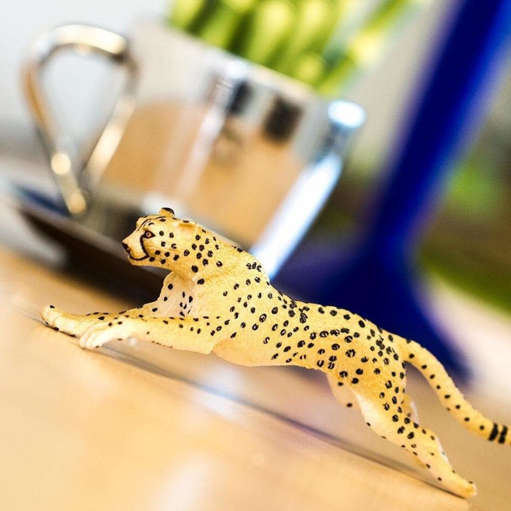 SAFARI SAFARI CHEETAH