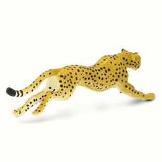 SAFARI SAFARI CHEETAH