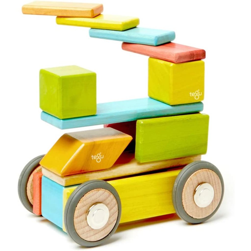 TEGU MAGNETIC WOOD BLOCKS 42 PIECE SET