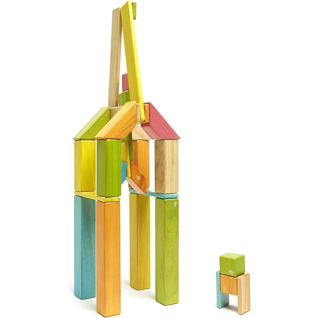 TEGU MAGNETIC WOOD BLOCKS 42 PIECE SET