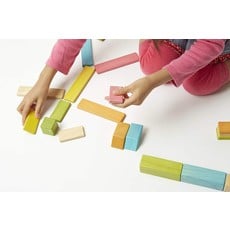 TEGU MAGNETIC WOOD BLOCKS 42 PIECE SET