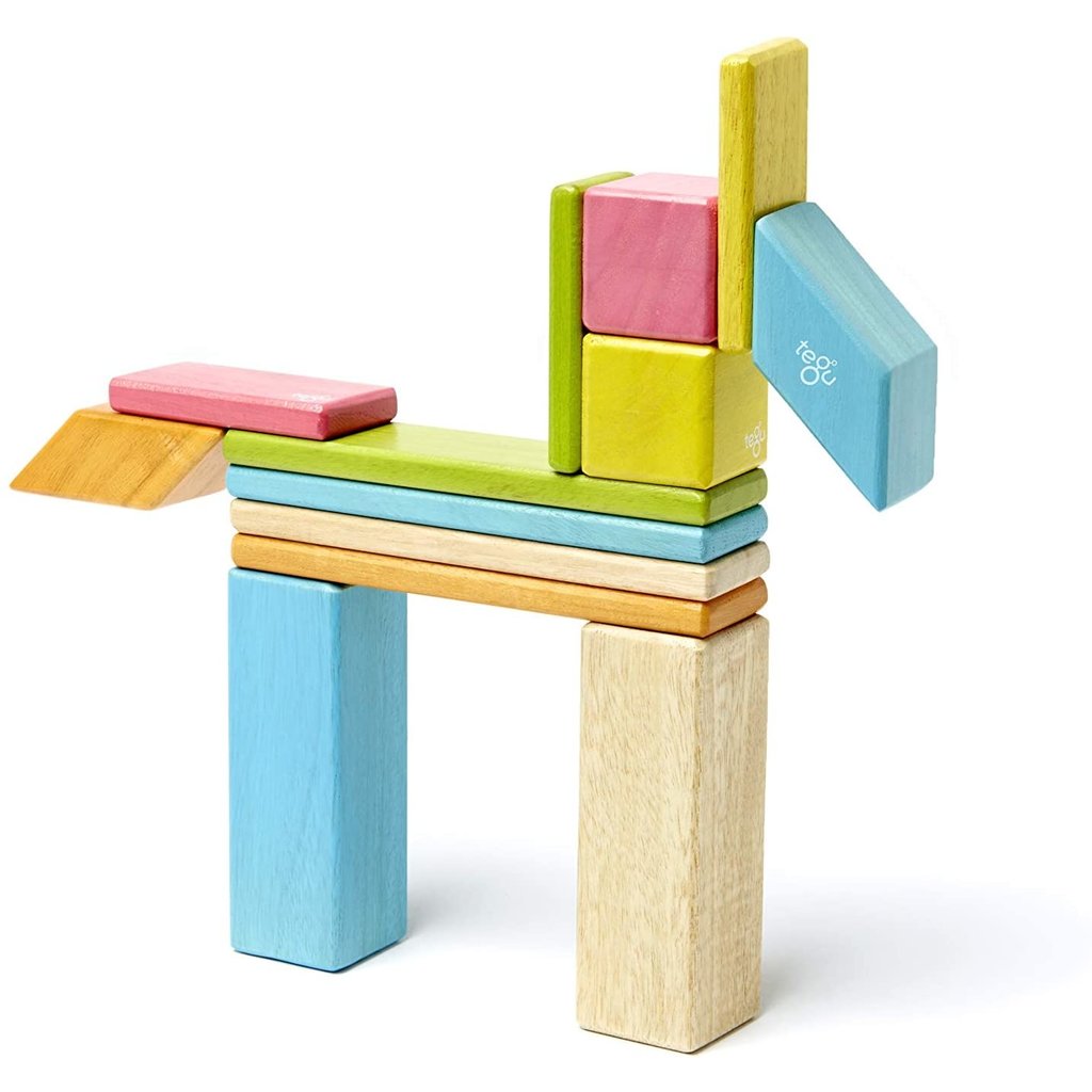 TEGU MAGNETIC WOOD BLOCKS 14 PIECE SET