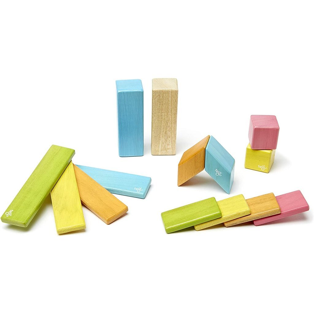 TEGU MAGNETIC WOOD BLOCKS 14 PIECE SET