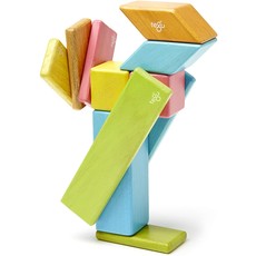 TEGU MAGNETIC WOOD BLOCKS 14 PIECE SET