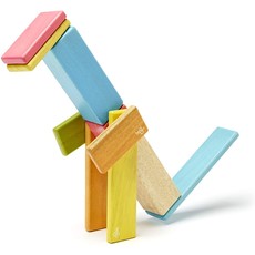 TEGU MAGNETIC WOOD BLOCKS 14 PIECE SET