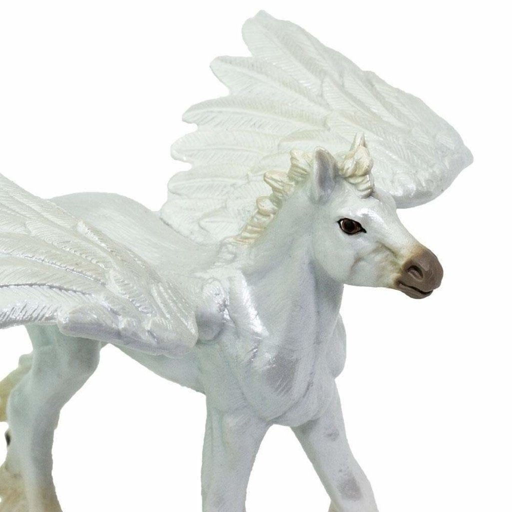 real baby pegasus