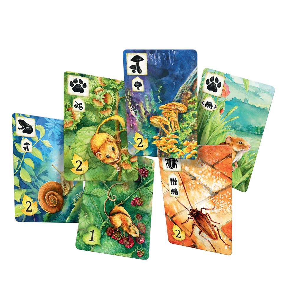 REBEL MEADOW GAME**
