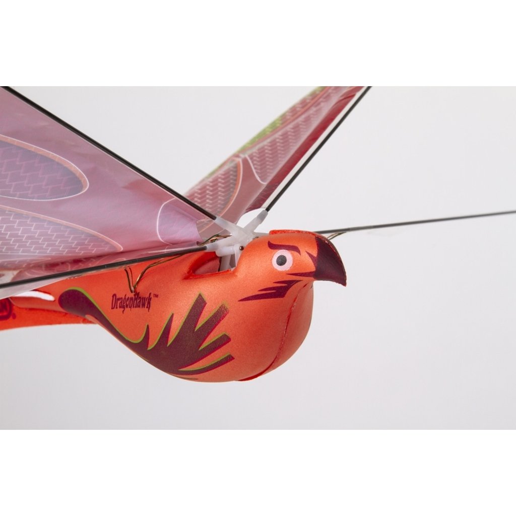 DRAGONHAWK FLYING BIRD THE TOY STORE