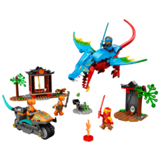 LEGO NINJA DRAGON TEMPLE